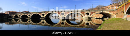 Frankreich, Haute Garonne, Toulouse, Pont-Neuf Brücke (1659), der Fluss Garonne und Tounis Flussufer Stockfoto