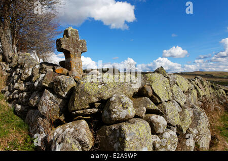 Frankreich, Lozere, Hochebene von Aubrac, Kreuz Rieutord Nasbinals Stockfoto