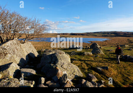 Frankreich, Lozere, Hochebene von Aubrac, Wanderer am See Born in der Nähe von Nasbinals Stockfoto