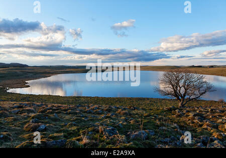 Frankreich, Lozere, Hochebene von Aubrac, kreuzen sich am See St. Andeol auf der Route von Compostela Stockfoto