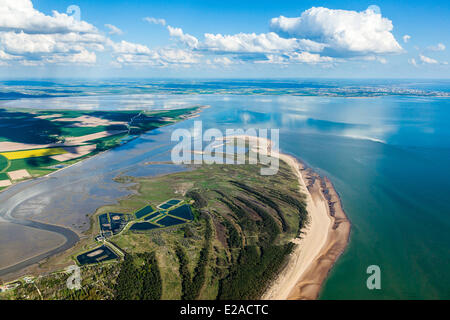 Frankreich, Vendee, La Faute Sur Mer, Pointe d'Arþay und Pointe de Aiguillon (Luftbild) Stockfoto