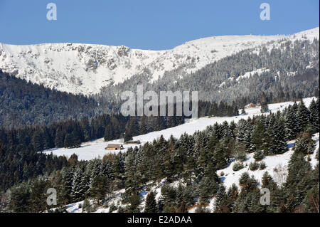 Frankreich, Haut Rhin, Hautes-Vosges, Col du Calvaire Stockfoto