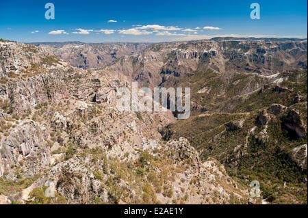 Mexiko, der letzte Staat Chihuahua, Barranca del Cobre (Copper Canyon), die Eisenbahnlinie (El Chepe) von Los Mochis nach Chihuahua Stockfoto