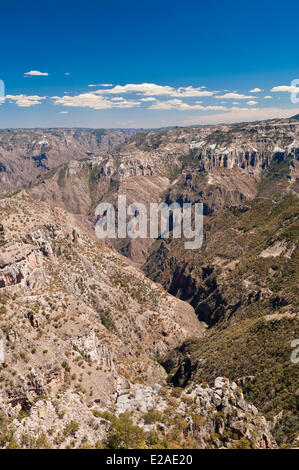 Mexiko, der letzte Staat Chihuahua, Barranca del Cobre (Copper Canyon), die Eisenbahnlinie (El Chepe) von Los Mochis nach Chihuahua Stockfoto