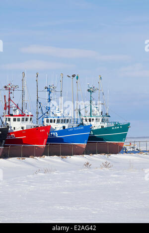 Kanada, Provinz New Brunswick, die akadische Küste, Shippagan, Angelboote/Fischerboote überwintern Stockfoto