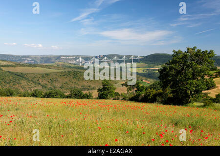 Frankreich, Aveyron, Parc Naturel Regional des Grands Causses (natürlichen regionalen Park der Grands Causses), das Viadukt von Millau (A75), Stockfoto