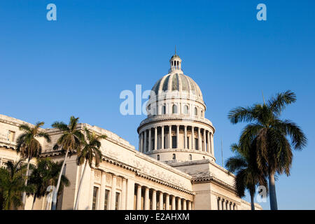 Ciudad De La Habana Provinz, Havanna, Kuba, Centro Habana District, das Capitolio Nacional (nationale Capitol) im klassizistischen Stockfoto