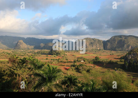 Kuba, Provinz Pinar Del Rio, Vinales Tal Weltkulturerbe von UNESCO, Vinales Nationalpark Hohe Winkel Aussicht auf die Stockfoto