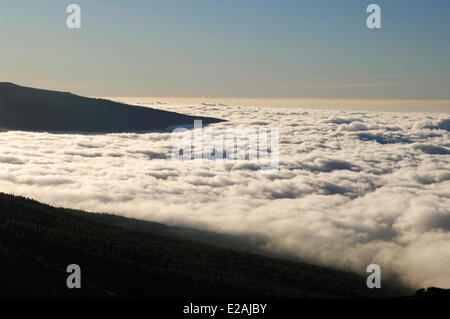 Spanien, Kanarische Inseln, Teneriffa, Bergen Straße TF 24, Ortuno Mirador, Meer der Wolken um den Vulkan Teide Stockfoto