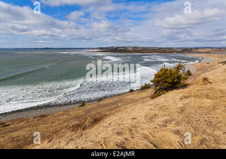 Kanada, Nova Scotia Halifax, Provinz Pa Lawrencetown Strand Stockfoto