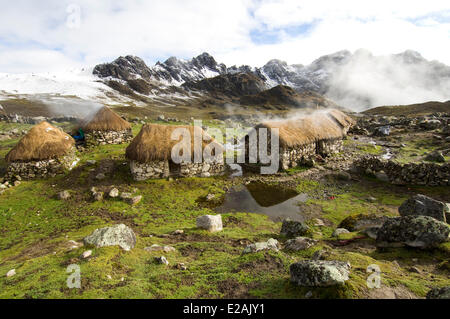 Carabaya Cordillera, Sinakara Bereich, Peru, Cuzco Provinz, Q'ero Ureinwohner, die ultimative Nachkommen der Inkas, Japu Stockfoto