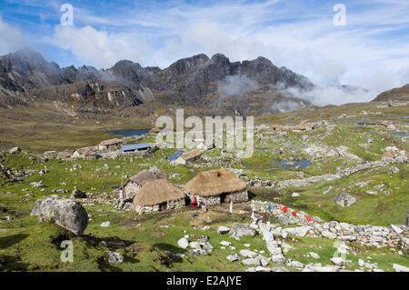 Carabaya Cordillera, Sinakara Bereich, Peru, Cuzco Provinz, Q'ero Ureinwohner, die ultimative Nachkommen der Inkas, Japu Stockfoto