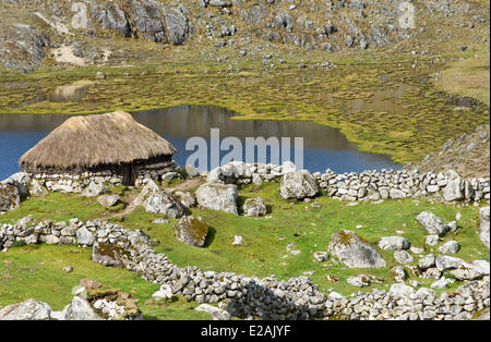 Carabaya Cordillera, Sinakara Bereich, Peru, Cuzco Provinz, Q'ero Ureinwohner, die ultimative Nachkommen der Inkas, Japu Stockfoto