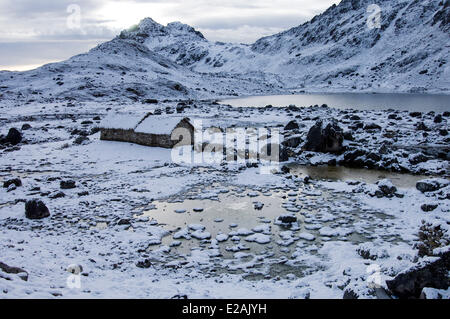 Carabaya Cordillera, Sinakara Bereich, Peru, Cuzco Provinz, Q'ero Ureinwohner, die ultimative Nachkommen der Inkas, Japu Stockfoto