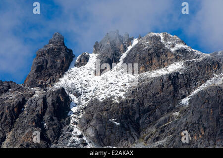 Carabaya Cordillera, Sinakara Bereich, Peru, Cuzco Provinz, Q'ero Ureinwohner, die ultimative Nachkommen der Inkas, Japu Stockfoto