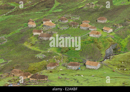 Peru, Cuzco Provinz, Q'ero Ureinwohner, die ultimative Nachkommen der Inkas, Hatun Carabaya Cordillera, Sinakara Bereich Stockfoto