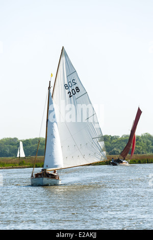 Segeln-Regatta auf der Norfolk Broads England UK Stockfoto