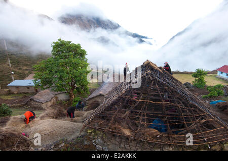 Peru, Cuzco Provinz, Q'ero Ureinwohner, die ultimative Nachkommen der Inkas, Hatun Carabaya Cordillera, Sinakara Bereich Stockfoto