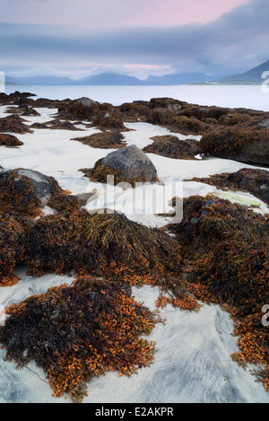 Ein schöner Morgen, Blick über den Sound z. aus Horgabost, Isle of Harris, äußeren Hebriden, Schottland Stockfoto