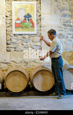 Frankreich, Herault, Saint Aunes, Chateau Les Mazes Domäne, Wein vom Fass im Keller für eine Verkostung Pipette Probenahme, Stockfoto