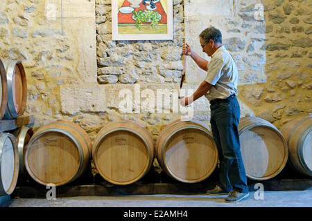 Frankreich, Herault, Saint Aunes, Chateau Les Mazes Domäne, Wein vom Fass im Keller für eine Verkostung Pipette Probenahme, Stockfoto