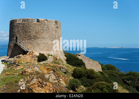 Italien, Sardinien, Olbia-Tempio-Provinz, Santa Teresa Gallura Wehrturm aus dem 16. Jahrhundert Longosardo gebaut von der Stockfoto