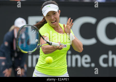 Rosmalen, Niederlande. 18. Juni 2014. Chinesische Tennisspielerin Jie Zheng trifft eine Vorhand während der 2. Runde Einzel-Match der Topshelf Open 2014 bei Autotron, Rosmalen, Niederlande auf 18.06.2014. Sie gewann gegen Carla Suarez Navarro (ESP) mit 7:5-0 in Rente gehen musste: 1 wegen Rückenproblemen.  Bildnachweis: Janine Lang/Alamy Live-Nachrichten Stockfoto