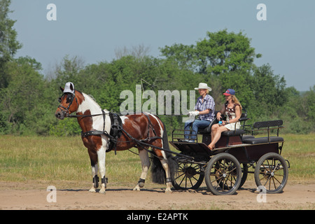 Modische junge Frauen fahren Pferd und Kutsche auf der Landstraße Stockfoto