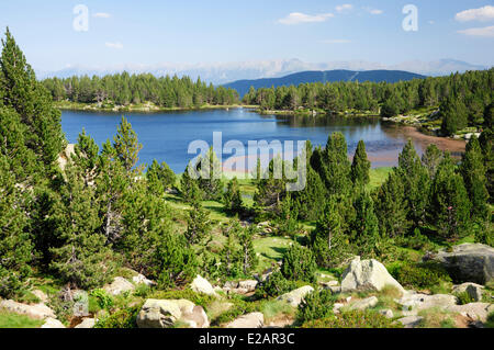 Frankreich, Pyrenäen Orientales, Parc Naturel Regional des Pyrenäen Catalana (regionaler Naturpark der Pyrenäen Catalana), in der Nähe Stockfoto