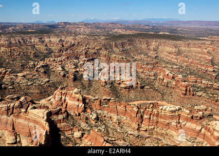 USA, Utah, Canyonland Nationalpark, das Labyrinth (Luftbild) Stockfoto