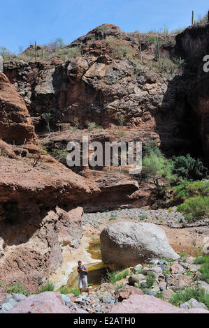 Mexiko, Baja California Sur State, Mulege Umgebung, Wandern im Canyon La Trinidad Stockfoto