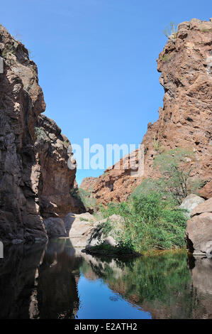 Mexiko, Baja California Sur State, Mulege Umgebung, Canyon La Trinidad Stockfoto