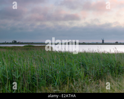 Ein Blick über die Marschen und den Fluß Yare in Richtung Berney Arme, Norfolk, England Stockfoto