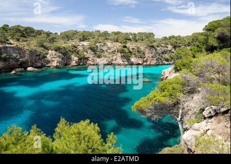 Spanien, Balearen, Mallorca, Cala Pi, Bucht mit kristallklarem Wasser Stockfoto