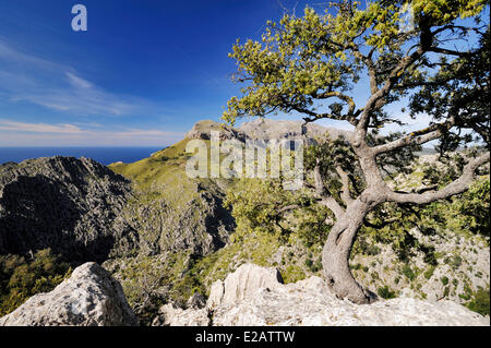 Spanien, Balearen, Mallorca, Sa Calobra, Landschaft an der Nordwestküste Stockfoto