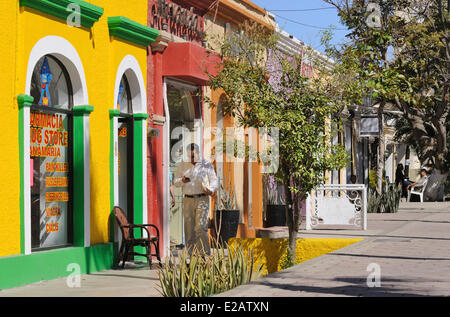 Mexiko, Baja California Sur State, San Jose del Cabo Stockfoto