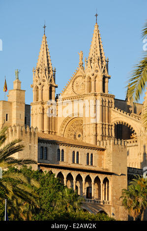 Spanien, Balearen, Mallorca, Palma, Dom bei Sonnenuntergang Stockfoto