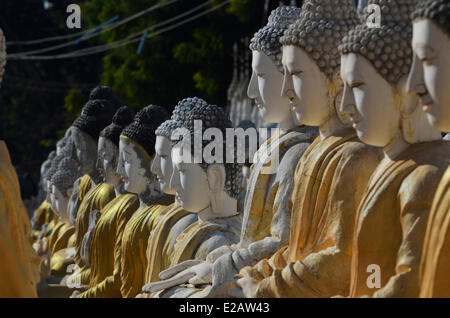 Myanmar (Burma), Sagaing Division, Monywa, Bodhi Tataung, Statuen von Buddha Stockfoto