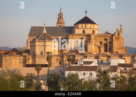 Spanien, Andalusien, Cordoba, Altstadt Weltkulturerbe der UNESCO, die Moschee-Kathedrale Stockfoto