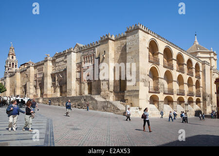 Spanien, Andalusien, Cordoba, Altstadt Weltkulturerbe der UNESCO, die Moschee-Kathedrale Stockfoto