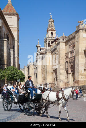 Spanien, Andalusien, Cordoba, Altstadt Weltkulturerbe der UNESCO, die Moschee-Kathedrale Stockfoto