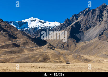 Peru, Puno Provinz Landschaft des Altiplano, La Raya-Pass (4338m) Stockfoto