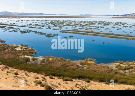 Peru, Provinz Puno, Titicacasee, der höchste schiffbare See der Welt Stockfoto