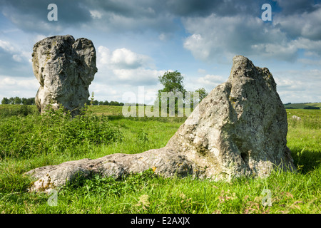 Zwei der Sarsen Steine, gebadet im Juni Sonne in Avebury in Wiltshire - England Stockfoto