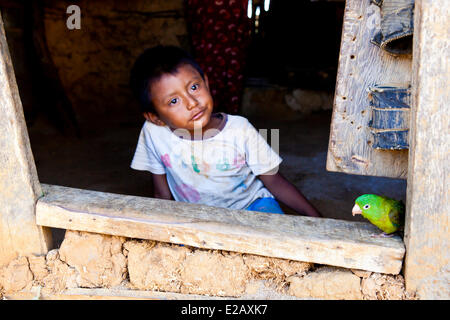 Kolumbien, La Guajira Department, die Arends Familie wohnt am tiefen Ende der Guajira-Halbinsel, der Punta Gallinas Stockfoto