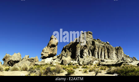 Peru, Arequipa Provinz, Arequipa, Nationalpark von Salinas Aguada Blanca, Vulkangestein Stockfoto