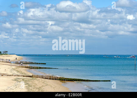 Frankreich, Gironde, d ' Arcachon, Cap Ferret, hölzernen Wellenbrecher Sticks gemacht Stockfoto