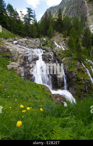 Frankreich, Alpes Maritimes, Nationalpark Mercantour, Haute finestre, Saint Martin finestre, Val du Haut Boreon, Wasserfall Stockfoto