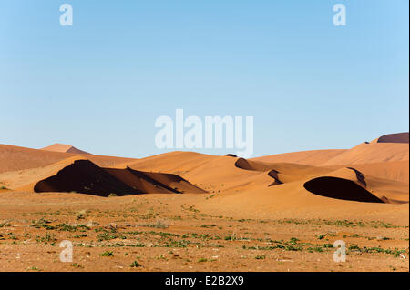 Namibia, Hardap Region, Namib-Wüste, Kulala Desert Lodge Stockfoto