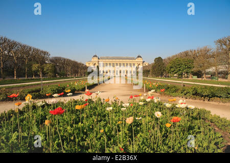 Frankreich, Paris, dem Jardin des Plantes (Botanischer Garten) im Frühling Stockfoto